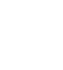 炭火鶏 龍